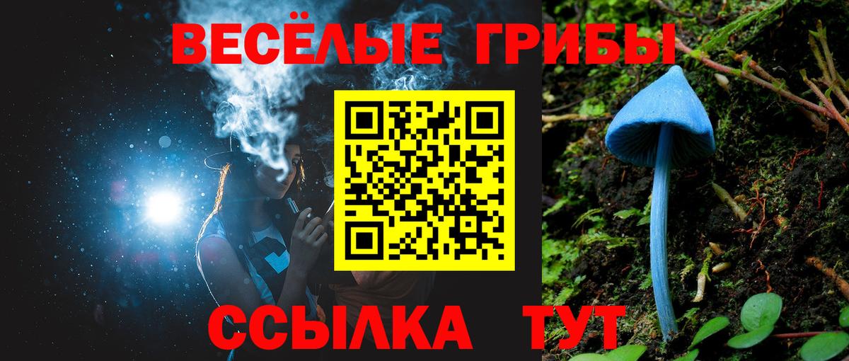 Галлюциногенные грибы мицелий Сибай